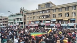 Ajjeechaa fi buqqisuu “uummata Amaaraa irratti raa’atamaa jiru” ka jedhan balaaleffachuudhaan, hiriira Adabaabayii Deseetti bahame, Ebla 17, 2021