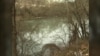 West Virginia Chemical Spill Leaves Hundreds of Thousands Without Clean Water