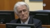 Tribunal de la ONU sentencia a Karadzic a 40 años de prisión