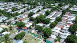  La tormenta Sara provoca en El Salvador graves daños a los cultivos de granos básicos
