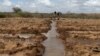 FILE - A farmer works in an irrigated field near the village of Botor, Somaliland, April 16, 2016. The severe drought that hit the Horn of Africa was linked to El Nino. A milder El Nino event is predicted to develop by February 2019, affecting weather patterns around the globe.
