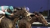 Zenyatta no pudo, Goldikova sí