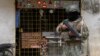 El gobierno de Ecuador ofrece la construcción de cárceles de alta seguridad para delincuentes y así lograr restaurar la paz en el país.
