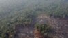 FILE - An aerial view shows a deforested plot of the Amazon near Humaita, Amazonas State, Brazil, Aug. 22, 2019.