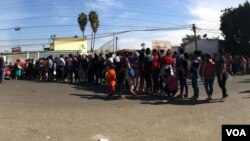 Miembros de la caravana, hacen fila para recibir comida, en Tijuana. Celia Mendoza - VOA 