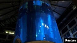Foto del acuario AquaDom en la atracción turística Sea Life en Berlín.