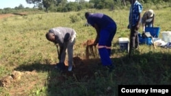 Bagebha amathambo abantu ababulawa yGukurahundi (Umfanekiso: Annahstacia Ndlovu)