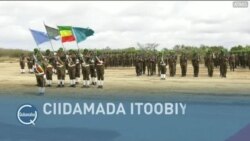 Qubanaha VOA