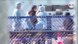 Restricciones en cruceros por COVID-19