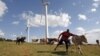 UN Urges Africa to Create Green Economy 