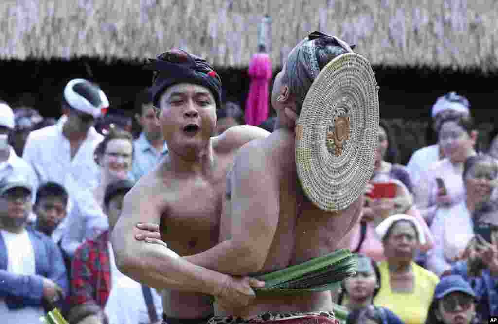 បុរស​ជនជាតិ​បាលី​កំពុង​វាយគ្នា​ដោយ​ប្រើ​ស្លឹក​ឈើ​បន្លា​ក្នុង​បុណ្យ​ប្រចាំ​ភូមិ​ក្នុង​ទីក្រុង​បាលី​ប្រទេស​ឥណ្ឌូនេស៊ី។