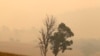 Dos incendios se fusionan en un fuego masivo en Australia