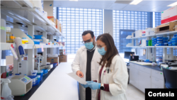 En el Mes de la Herencia Hispana, el doctor David Soto-Pantoja resalta la importancia de que las comunidades minoritarias deben estar bien representadas en el campo de la ciencia y la medicina.