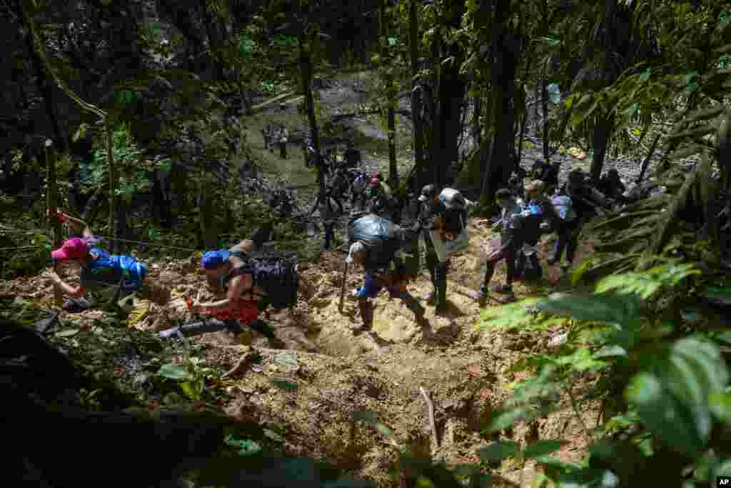 La selva por donde deben pasar es densa y húmeda. El terreno se torna más fangoso a medida que se avanza. Además, los animales salvajes y los grupos ilegales la hacen aún más tenebrosa.