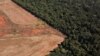 En Ecuador crecen las denuncias sobre la deforestación de la Amazonía