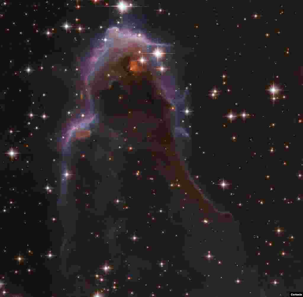 Sorprendentemente, dentro de esta burbuja de gas caliente alrededor de una estrella masiva cercana se encuentran los frEGG: gl&#243;bulos oscuros y compactos de polvo y gas, algunos de los cuales est&#225;n dando a luz a estrellas de baja masa. [Foto: Cortes&#237;a NASA