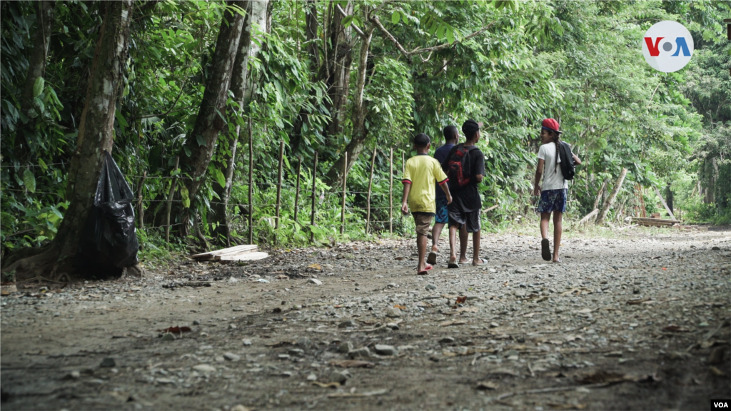 Otra de las grandes problem&#225;ticas en la regi&#243;n del Dari&#233;n es que muchos j&#243;venes est&#225;n dejando de lado sus estudios para integrar los grupos de “gu&#237;as” y ayudar a migrantes a atravesar la selva.