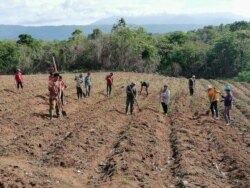 Doña Chica y sus compañeros campesinos ayudaron a reparar una casa de costarricenses afectada por los fuertes vientos.