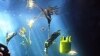 Acoustic devices, like this one at the Vancouver Aquarium, capture fish movement across the ocean.