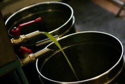 FILE - Olive oil comes out of a tap in an oil mill in the Tuscan village of Montepuclciano, Oct. 6, 2007.