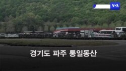 탈북자 단체 대북전단 살포 무산