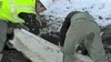 Descubren restos de la Era de Hielo