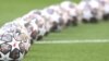 CAN 2021: résumé de la 3e journée avec Yacouba Ouédraogo