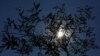FILE - An olive tree is seen silhouetted in an olive plantation in Amelia, central Italy, June 13, 2017.