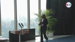 La vicepresidenta Harris visitará la frontera