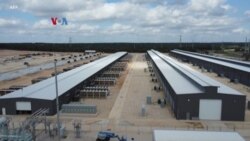 Dilarang di Tiongkok, Penambangan Kripto 'Booming' di Texas
