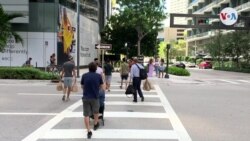 El voto hispano en las elecciones primarias de Florida