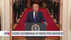 Exportadores de flores colombianas alertan impacto de posibles aranceles en EEUU