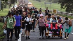 No han aumentado detenciones por ingresos no autorizados a Estados Unidos