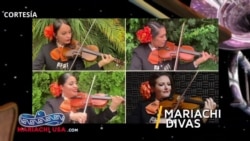 Mariachi USA