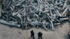 Putin afirma que Rusia tiene "suficientes" bombas de racimo