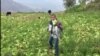 Agricultores venezolanos temen perder sus cosechas por escasez de gasolina