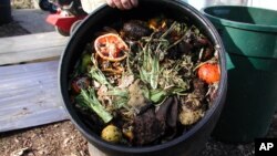 FILE - About a third of food produced around the world is spoiled after harvest and during transportation, or thrown away by shops and consumers. (Rosanne Skirble/VOA)