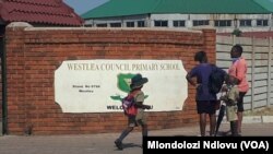 Zivulwa okwehlandla lesithathu izikolo zeZimbabwe