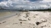 Scientists Developing New Ways to Fight 'Red Tide'