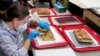 Precious Artifacts Found in Time Capsule Beneath Confederate Statue