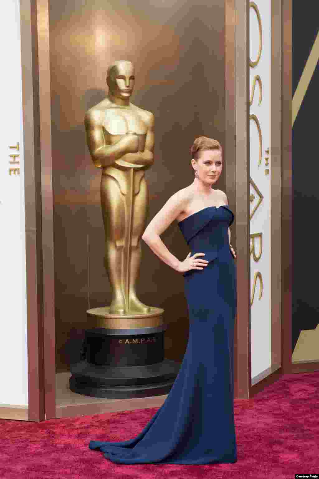 获得奥斯卡提名的艾米&middot;亚当斯（Amy Adams）参加奥斯卡典礼，在奥斯卡金像前留影（2014年3月2日）。她在美国福布斯杂志2016年演员片酬排行榜上名列第七，收入1350万美元。