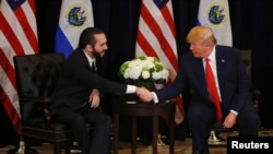 ARCHIVO - El ahora presidente electo Donald Trump y el mandatario de El Salvador, Nayib Bukele, durante una reunión bilateral en Nueva York, Estados Unidos, el 25 de septiembre de 2019.