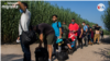 Adultos jóvenes componen la mayoría de los grupos de venezolanos que cruzan ilegalmente hacia EE. UU. a través de Del Río, Texas.