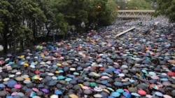 VOA Asia – Neither rain nor Beijing deter Hong Kong residents