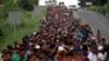 Migrants, part of a caravan traveling from Central America toward the United States, walk on a road that links Ciudad Hidalgo with Tapachula, Mexico, Nov. 2, 2018.