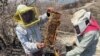 Beekeepers Alfredo Lopez Espiritu and Eloy Perez Garcia work to relocate and save wild bee hives, protecting them from the lack of flowering caused by drought and attacks by people who consider them aggressive, in San Lorenzo Cacaotepec, Mexico, May 4, 2024. 