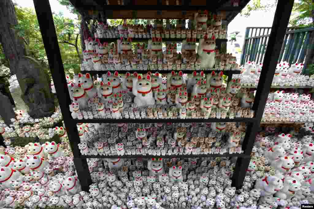 រូបសំណាក​សត្វ​ឆ្មារ​ជប៉ុន​ឈ្មោះ​ថា &laquo;manekineko&raquo; ដែល​ត្រូវ​បាន ជឿ​ថា​នាំ​លាភ​សំណាង​​បាន​ប្រគល់​ជូន​វិហារ​ Gotokuji ទីក្រុង​តូក្យូ​ប្រទេស​ជប៉ុន។ &nbsp;