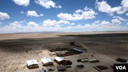 Chile encabeza la comercialización con 44% del mercado, al vender 12.000 tnm anuales.