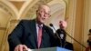 FILE - Senate Minority Leader Chuck Schumer, D-N.Y., speaks with reporters at the Capitol in Washington, March, 14, 2017. 
