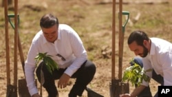El canciller mexicano Marcelo Ebrard, a la izquierda, y el presidente de El Salvador, Nayib Bukele, plantan un árbol durante el lanzamiento del programa "Sembrando Vida" en San Luis Talpa, El Salvador, el viernes 19 de julio de 2019. 